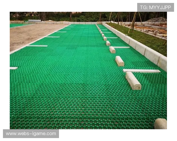 绿色低碳理念融入体育产业发展，环保材料与可持续运营模式获青睐。